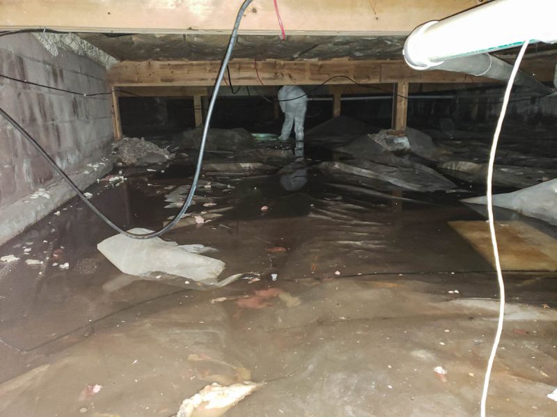 Cellar Waterproofing